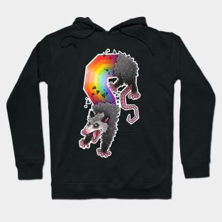 Rainbow Scream Possum Hoodie